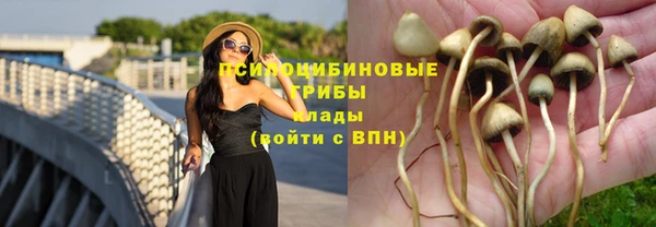 круглые Белокуриха