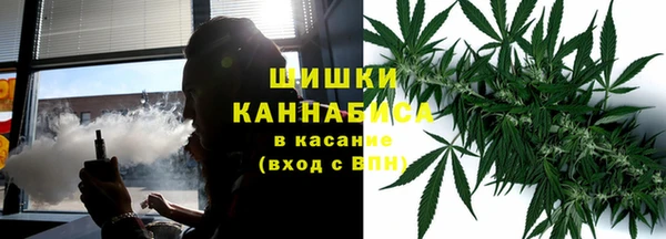 круглые Белокуриха
