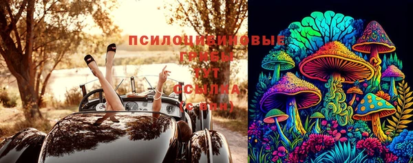 мет Осинники