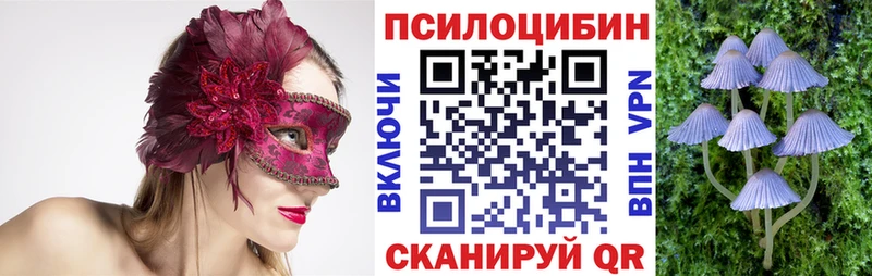 Псилоцибиновые грибы GOLDEN TEACHER  mega рабочий сайт  Тимашёвск  даркнет сайт 